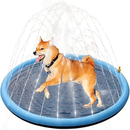 Watersproeier - Speelmat - Sproeimat voor Honden - 170cm - Blauw