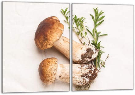 TMK ArtDeko - Dubbele Glazen Beschermplaat - 40x52cm - Grzyby