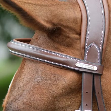 Frontaal voor paard Jump'In London