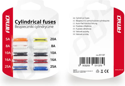 Cilindrische zekering 10 stuks blisterverpakking
