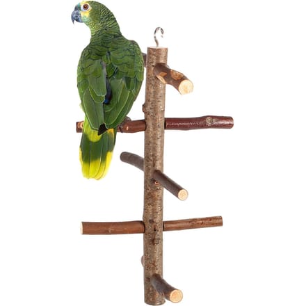 Perchoirs pour perroquets, cage, support, jouet suspendu, branches d'activité en bois, escaliers d'escalade gray