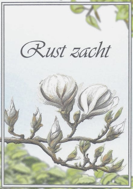 Rouwkaarten - 100 stuks - Rust Zacht - 10,5 x 14,5 cm - Rouwboeket Kaart