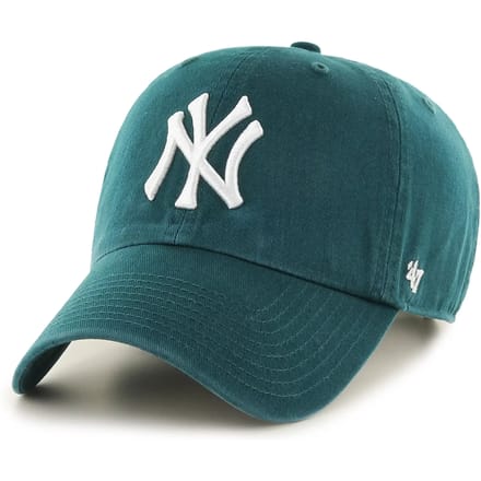 47 Mlb New York Yankees Clean Up Pet Groen Man