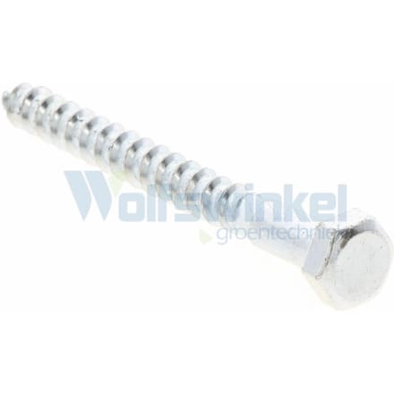 Hoenderdaal houtdraadbout gegalvaniseerd 8 x 80 mm din 571 - doos à 200 stuks