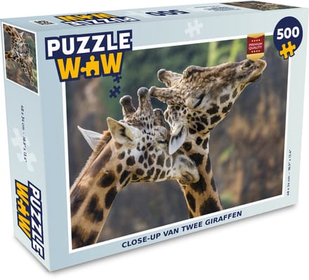 Puzzel Close-up van twee giraffen - Legpuzzel - Puzzel 500 stukjes