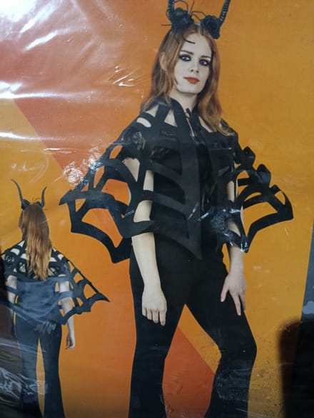 Halloween Kostuum ! CAPE ! Vrouw – Spinnenweb One Size (DIADEEM NIET INBEGREPEN)
