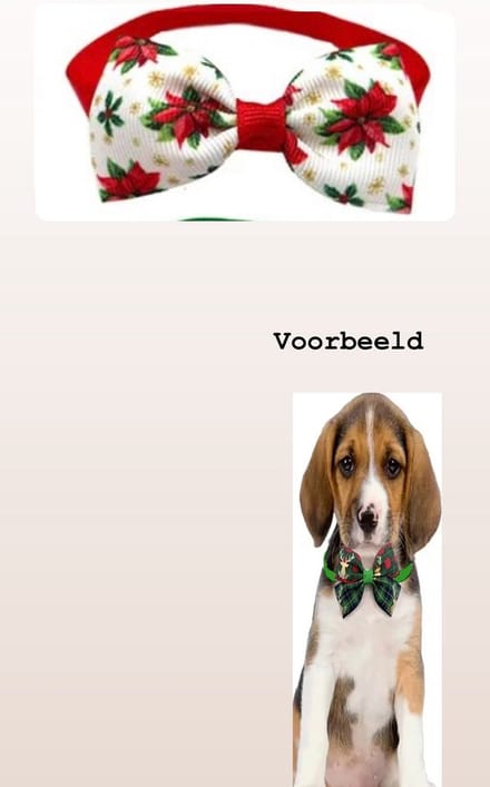 Akyol Vlinderstrik - Honden/Katten Strik - Bloemen - Rood/Wit