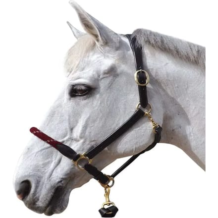 Touwhalster voor paarden Canter