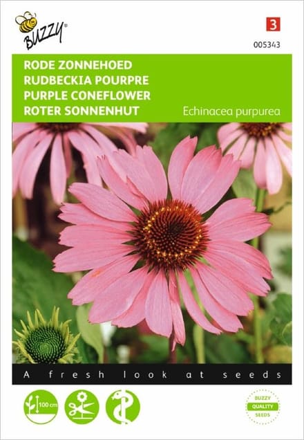 Echinacea purpurea - rode zonnehoed