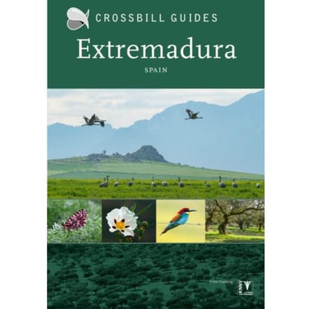 Extremadura - Crossbill Guides - Dirk Hilbers