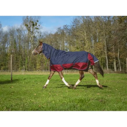 Outdoor paardendeken Equithème Tyrex 1200 D Combo 200g