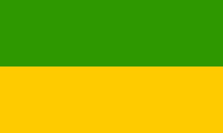 Vlag Recklinghausen 100x150cm