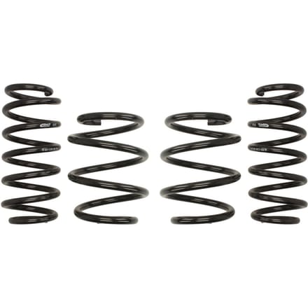 Ophangset, veren Pro-Kit EIBACH E10-40-036-06-22