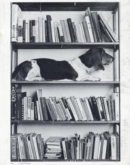 Mini zwart-wit poster - Eda - Antonin Maly - 24x30 cm