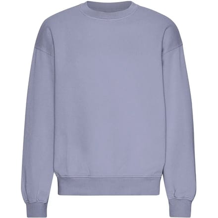 Oversized sweatshirt met ronde hals Colorful Standard Organic Purple Jade