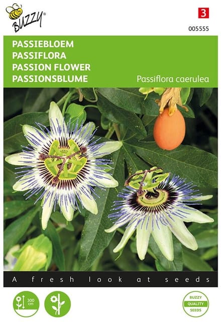 Buzzy Zaden - Passiebloem (Passiflora caerulea)