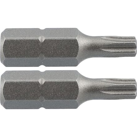 Labor schroefbit TX20x25mm (2 Stuks)