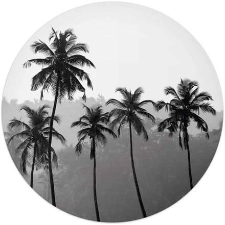 Plexiglasschilderij Palmbomen - Ø 50 - Acrylglas - REINDERS