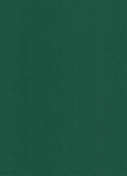 20 Linnen kaarten papier - A5 - Kerstgroen - Cardstock - 21 x 14,8cm - 240 grams - karton