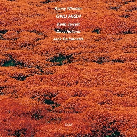 Kenny Wheeler - Gnu High (CD)