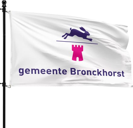 VlagDirect - Bronckhorst vlag - Gemeente Bronckhorst vlag - 90 x 150 cm.