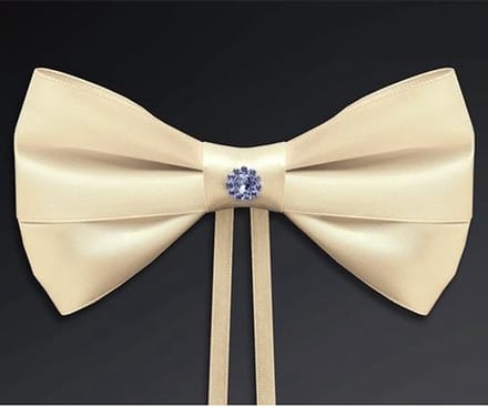 Partydeco - Strik ivoor steentje (4st)
