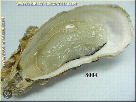 Oester dummy