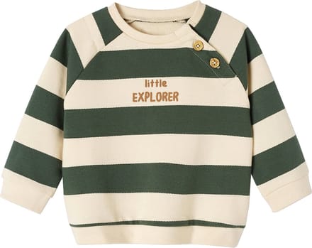 Vertbaudet Gestreept sweatshirt van molton baby