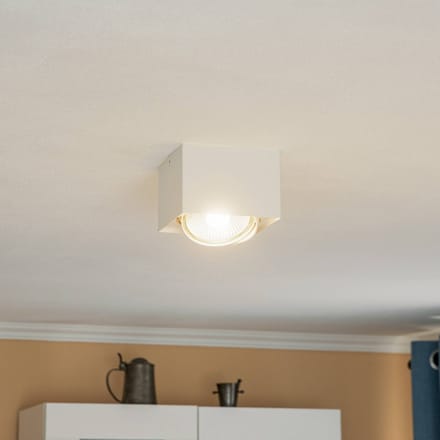 Argon Plafondspot Ronda, 1-lamp, wit
