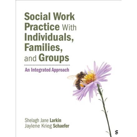 Social Work Practice With Individuals, Families, And Groups - Shelagh J. Larkin