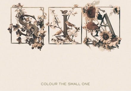Colour The Small One - Sia