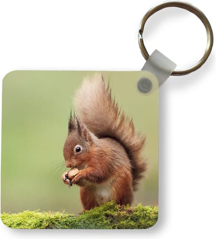 Sleutelhanger - Uitdeelcadeautjes - Rode eekhoorn - Plastic