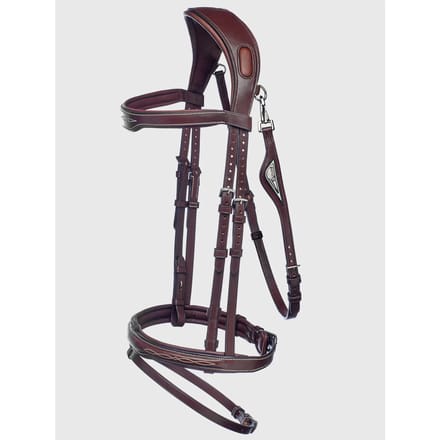 Anatomische hoofdstellen Equiline Light JP