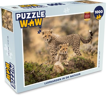 Puzzel Luipaard - Jong - Natuur - Legpuzzel - Puzzel 1000 stukjes volwassenen