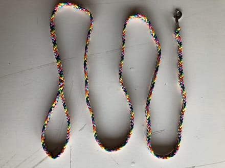 Bianca's Standaard Lijn - Hondenriem - 200 cm - Medium - Regenboog
