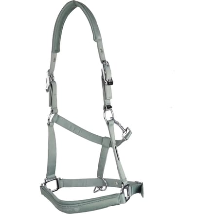 Halster voor paarden USG Shiny