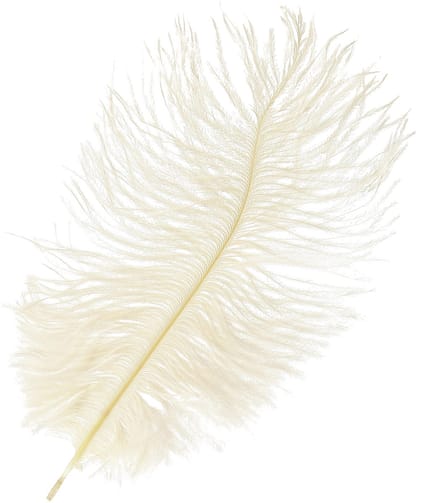 Prachtige crèmewitte decoratieve veer struisvogelveren wit 20-25cm 12
