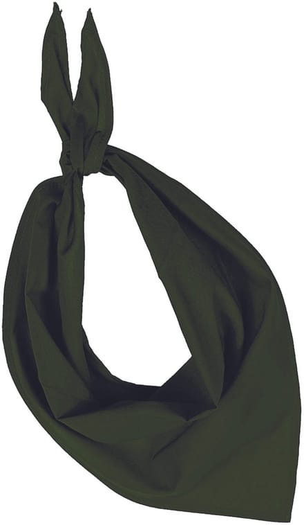 Kariban Hoofdband - Groen