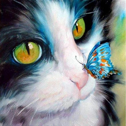 Bricolage diamant mosaïque Animal chat et papillon couture diamant peinture point de croix Art mural 30X30CM white