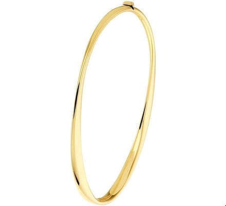 Huiscollectie Bangle Goud Scharnier 4 X 60 mm
