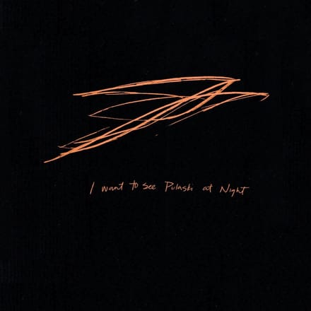 Andrew Bird - I Want To See Pulaski At Night (CD)