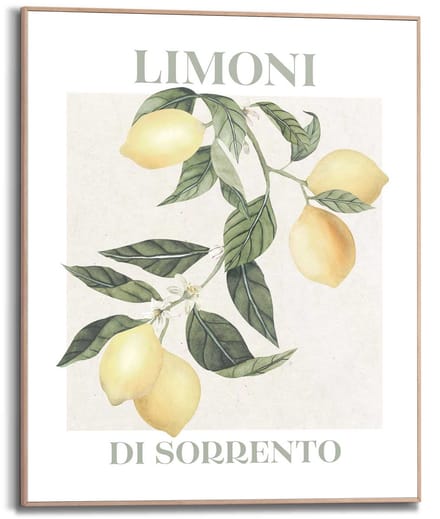 Schilderij Limoni - 50 x 40 - Hout - REINDERS