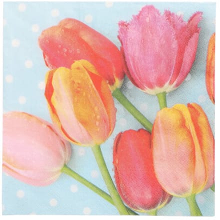15x 20 Servetten 3-laags 1/4 vouw 33 cm x 33 cm Bella Tulipa
