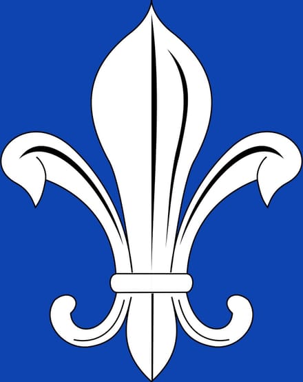 Vlag Mesen 200x300cm