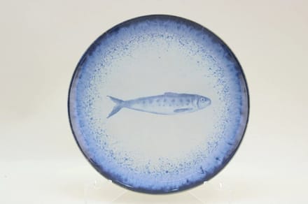 Costa Nova Sardines servies collectie ontbijtbord 21cm Sardines