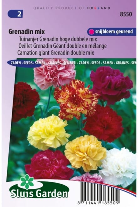 Sluis Garden - Tuinanjer, Anjer Grenadin Mix (Dianthus)