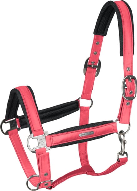 Waldhausen Halter Mesh Fuchsia - Paardenhalster - Pony