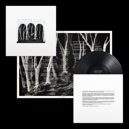 Crooked Wing - These New Puritans
