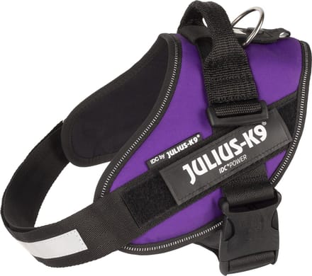 Julius-K9 IDC®Powertuig, L - maat 1, Dark Purple