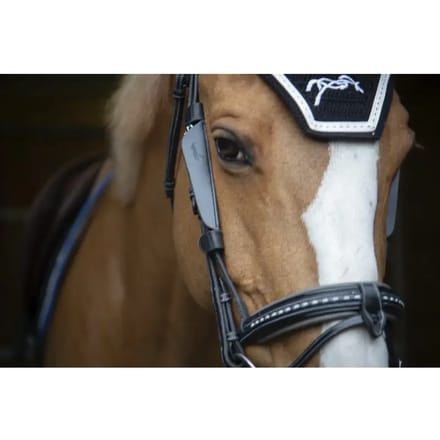 Knipperlichten voor paarden Pénélope Blinkers